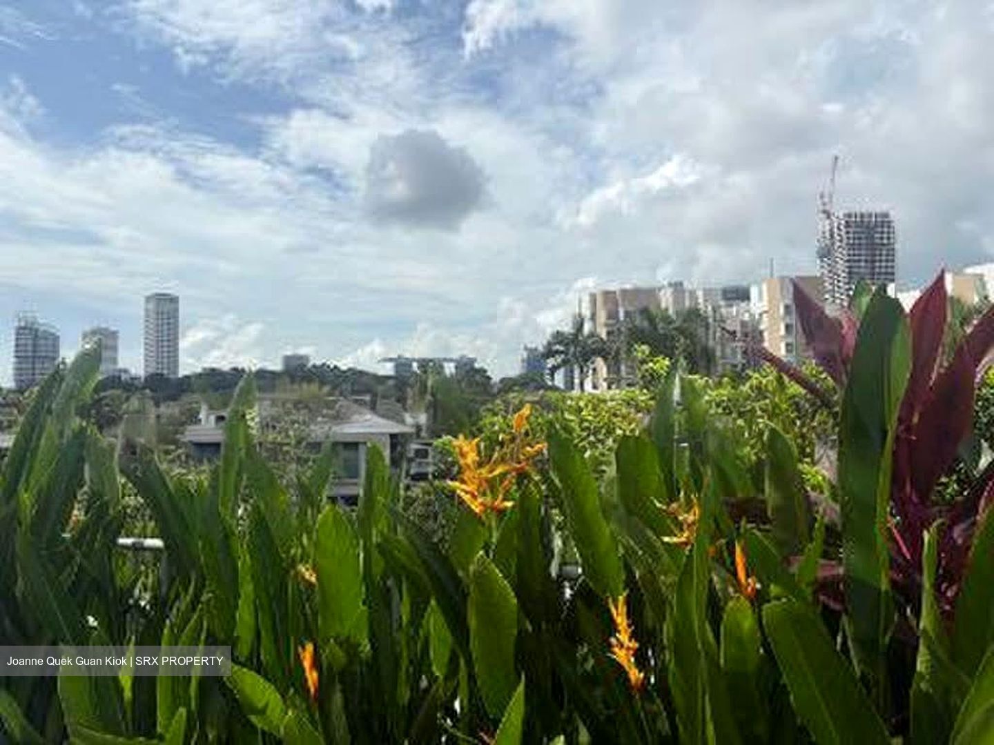 Belle Vue Residences (D9), Condominium #569572391